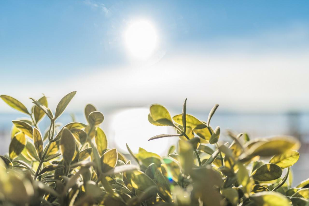 Acapella Lägenhet Crikvenica Exteriör bild